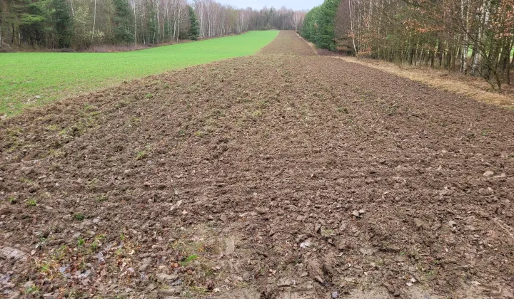 Działka rolna Parczów Parczów-Kopalnia