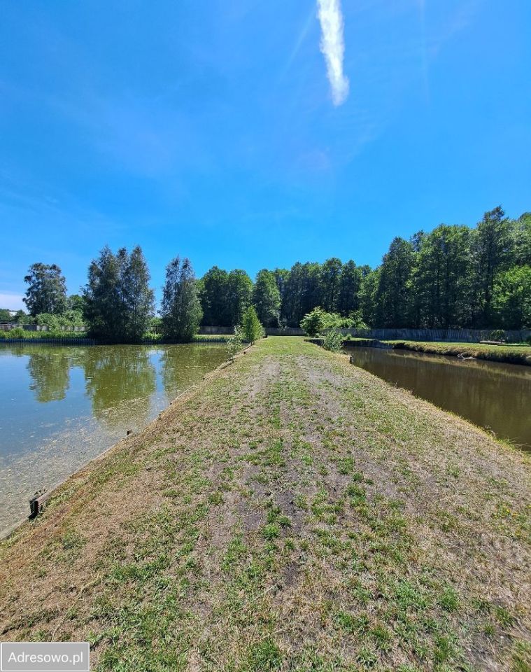 Działka budowlana Wólka Żabna. Zdjęcie 15