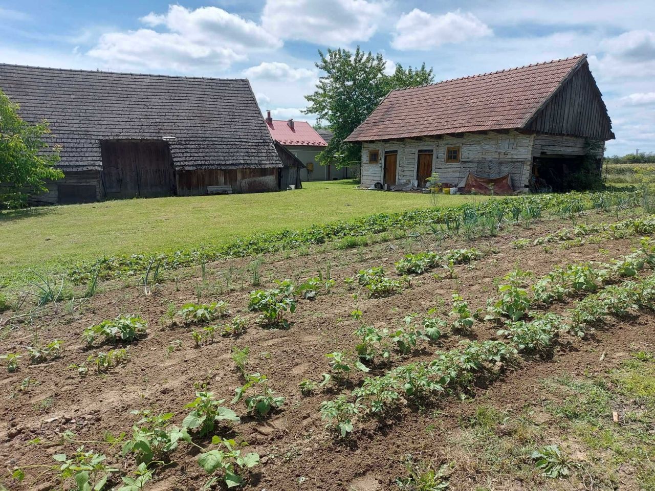 dom wolnostojący Kłyż. Zdjęcie 2