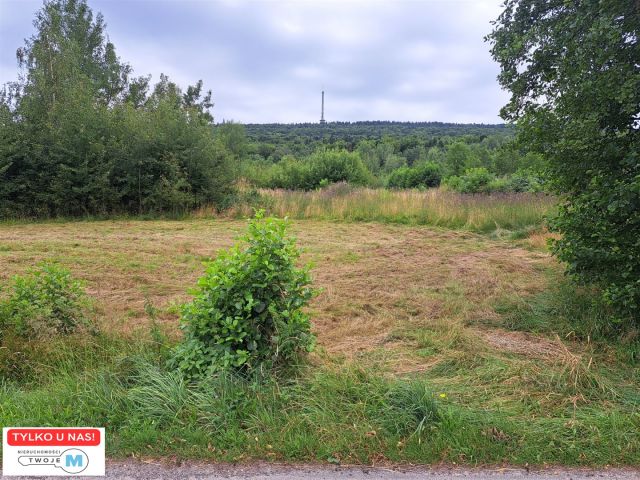 Działka siedliskowa Nowa Słupia. Zdjęcie 1