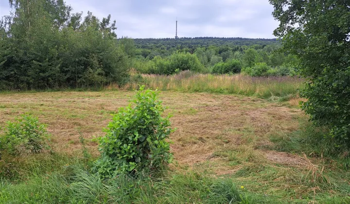 Działka siedliskowa Nowa Słupia