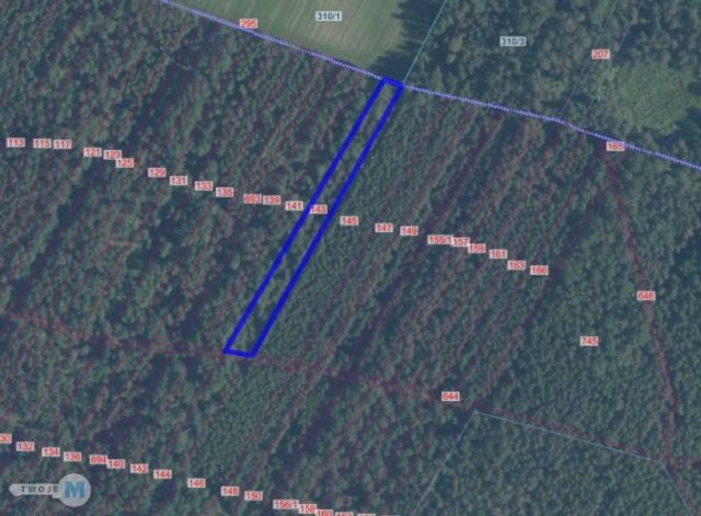 Działka leśna Osiny. Zdjęcie 5