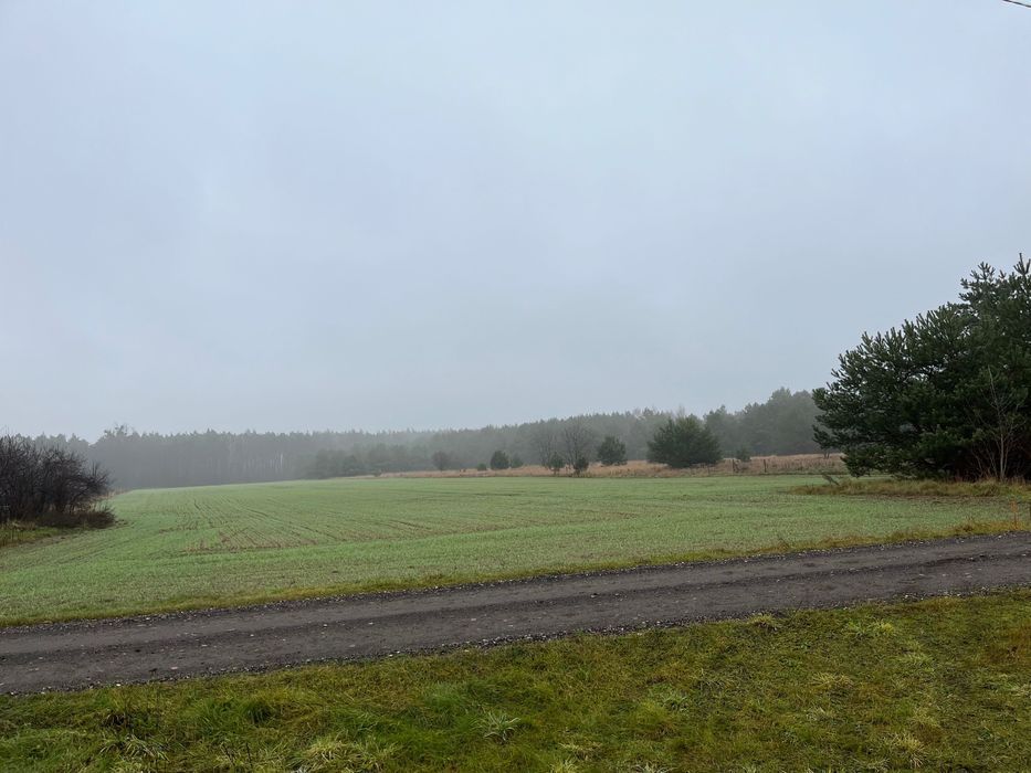 Działka budowlana Gierłatowo. Zdjęcie 2