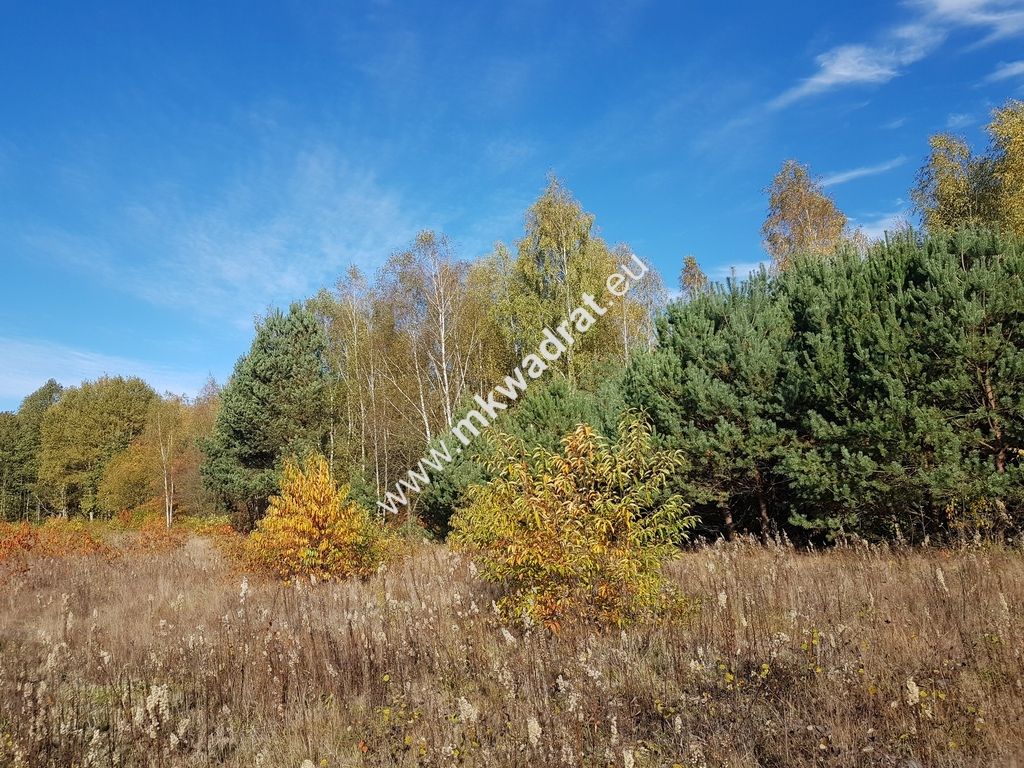 Działka budowlana Grabina Radziwiłłowska. Zdjęcie 6