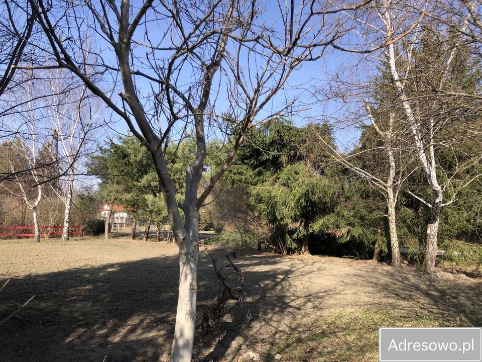 Działka rod Rzeszów Zalesie. Zdjęcie 6