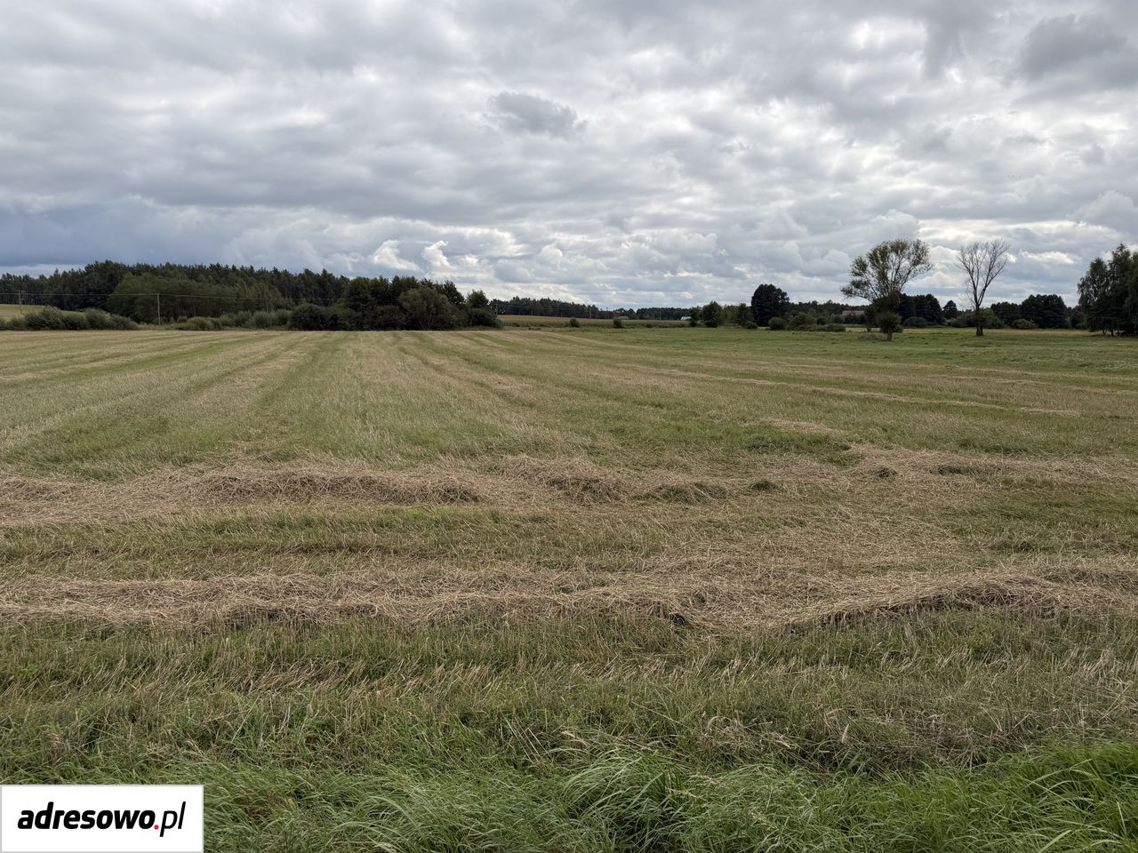 Działka inwestycyjna Józefowo. Zdjęcie 8