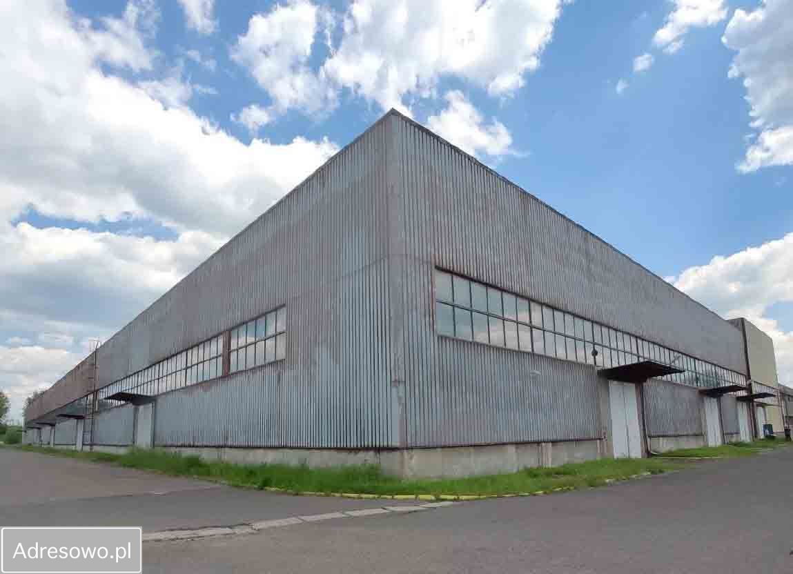 Hala/magazyn Bytom, ul. Szyby Rycerskie