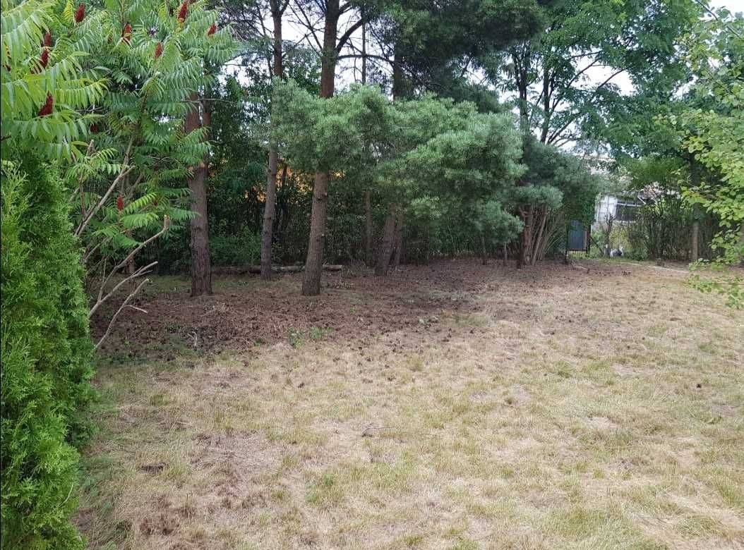 Działka rod Szerominek. Zdjęcie 6