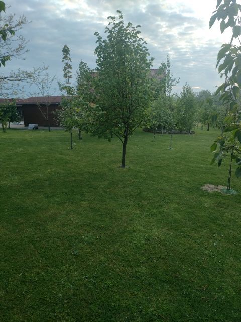 dom wolnostojący, 6 pokoi Andrychów. Zdjęcie 28