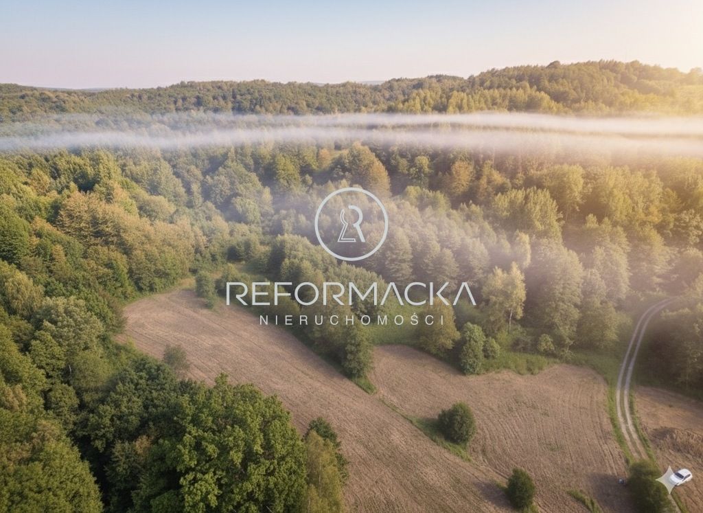 Działka rolna Dubiecko. Zdjęcie 2