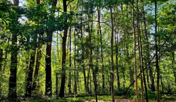 Działka budowlana Duchnów