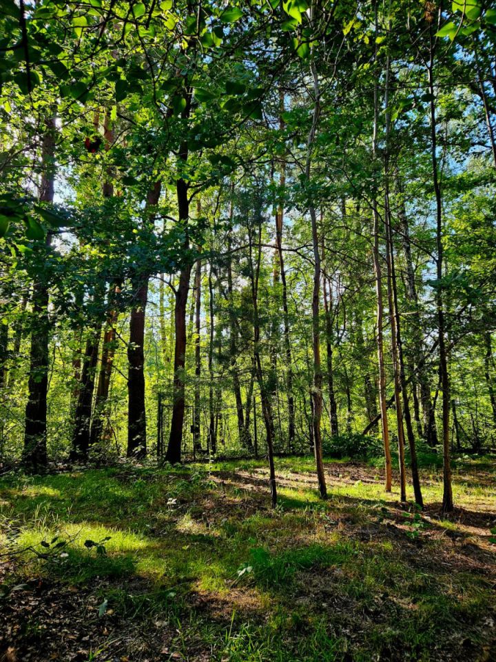 Działka budowlana Duchnów