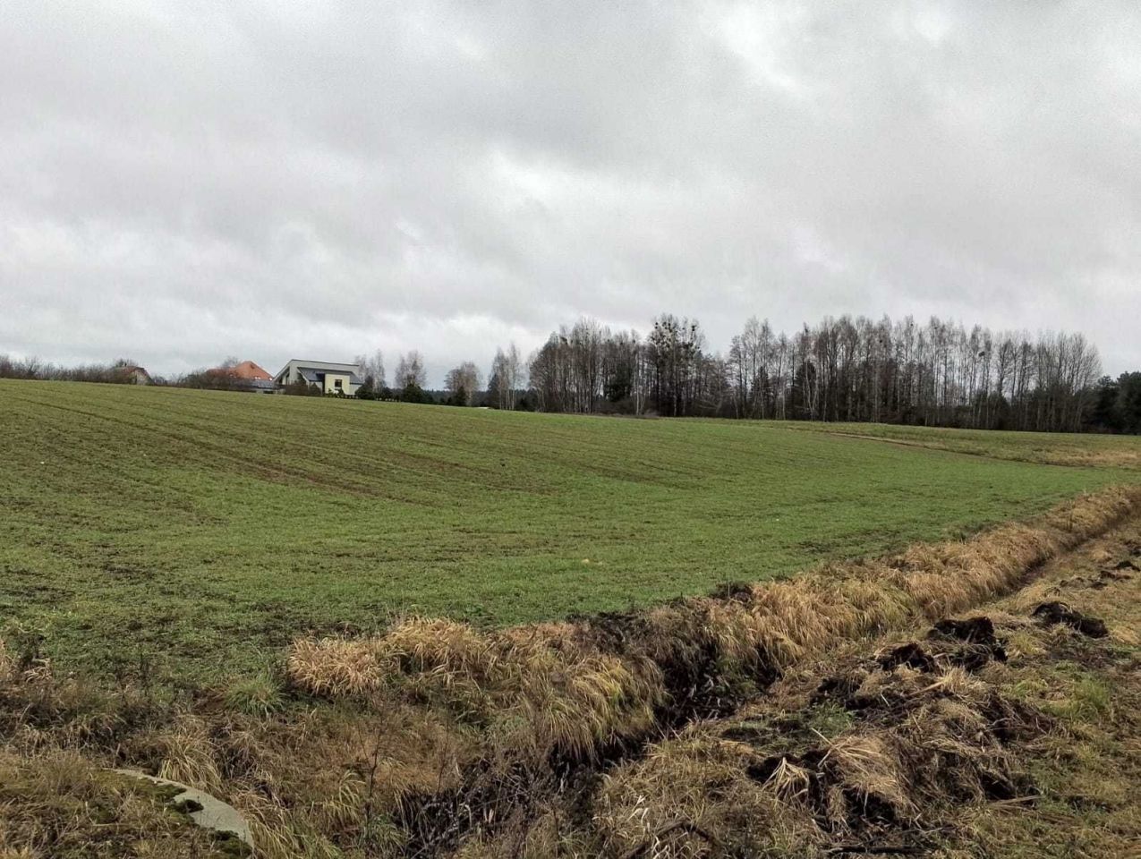 Działka budowlana Augustów, ul. Rajgrodzka. Zdjęcie 8