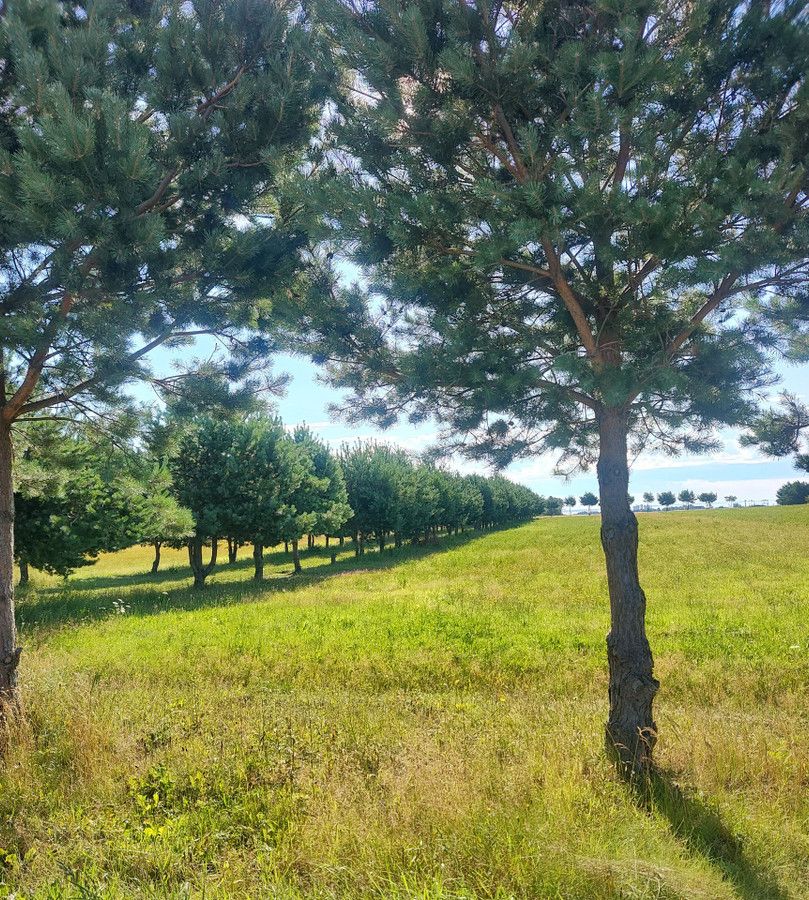 Działka rolna Swarzewo. Zdjęcie 1