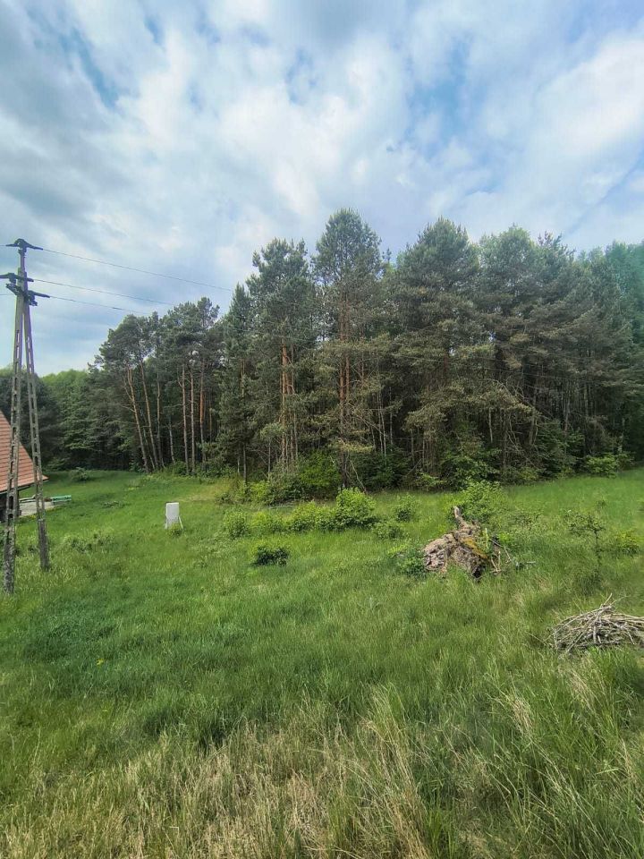 Działka siedliskowa Zabrodzie. Zdjęcie 5