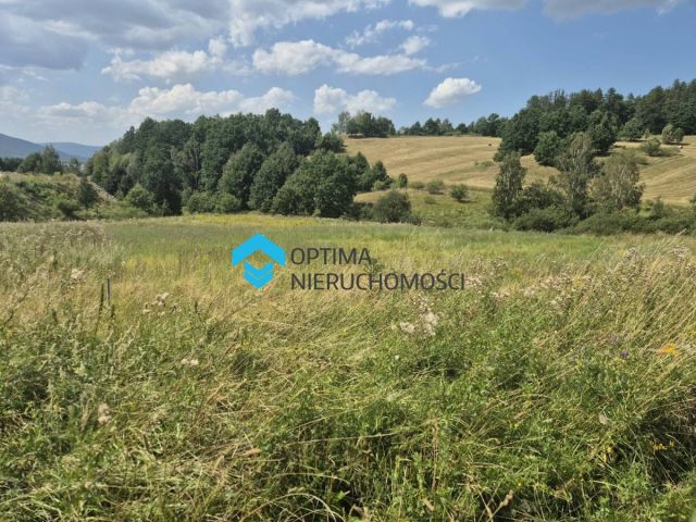 Działka budowlana Sosnówka. Zdjęcie 14