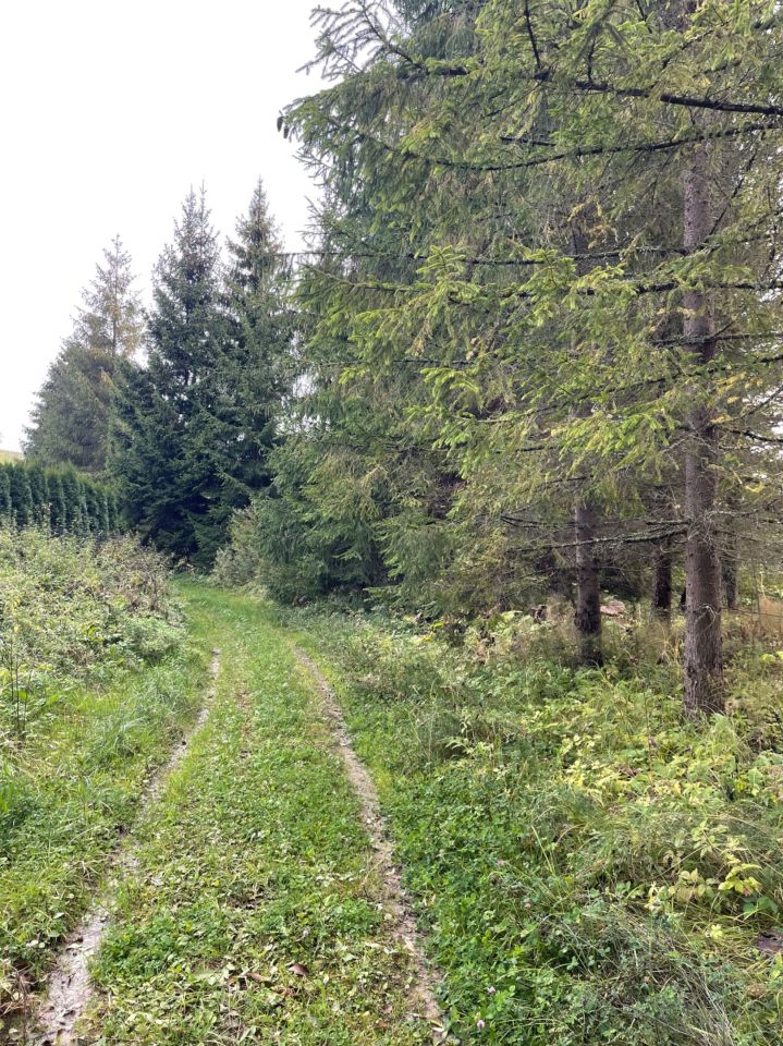 Działka rolno-budowlana Brelików. Zdjęcie 8