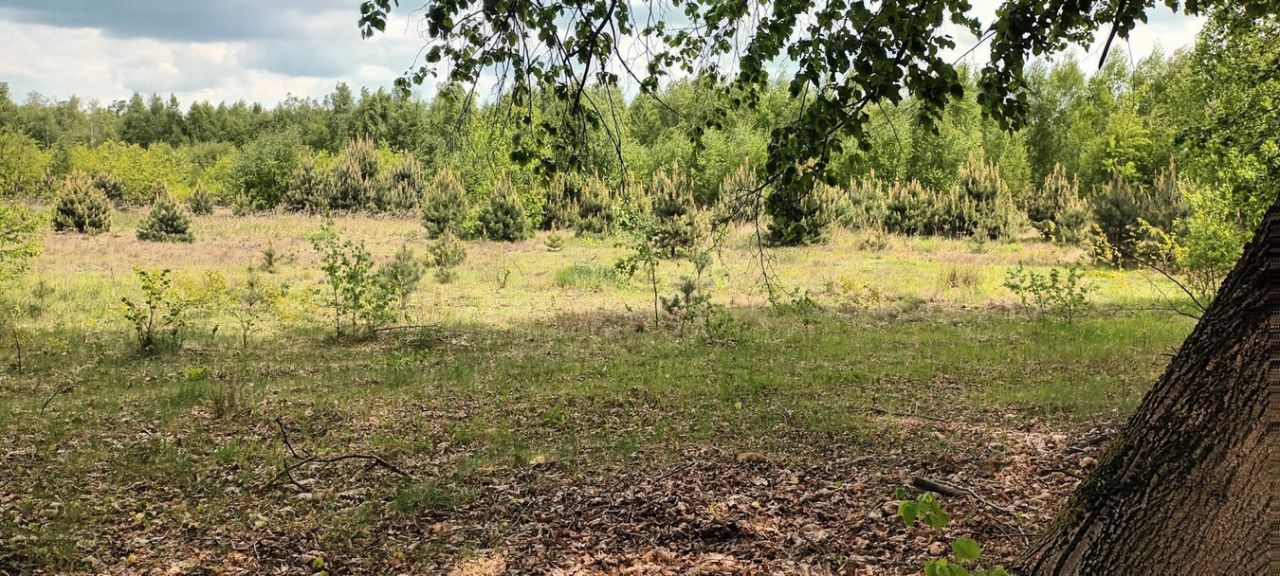 Działka inwestycyjna Kozły. Zdjęcie 9