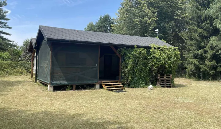 Działka rekreacyjna Wytyczno Kochanowskie