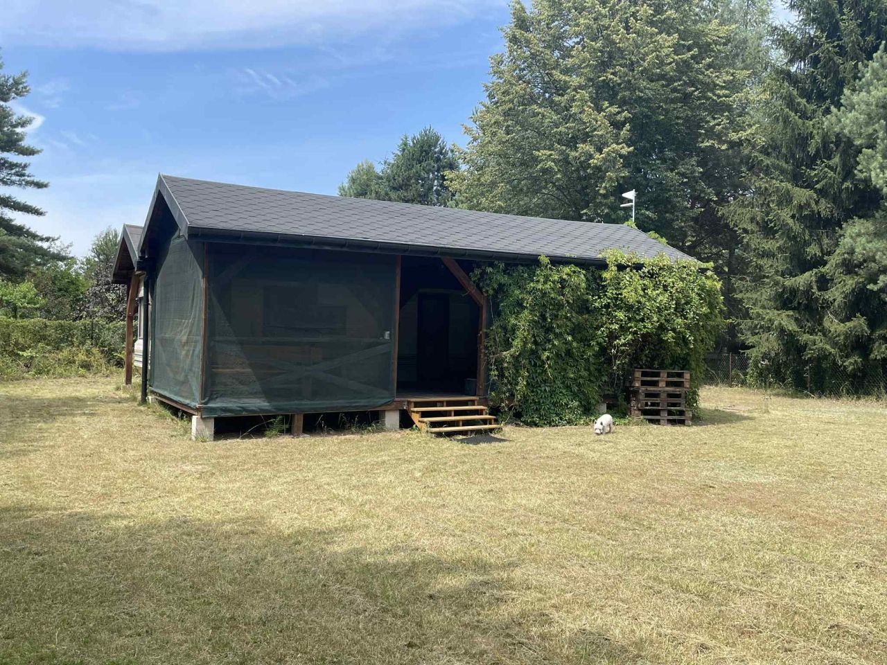 Działka rekreacyjna Wytyczno Kochanowskie