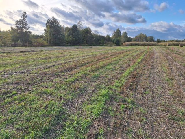 Działka budowlana Wylów. Zdjęcie 1