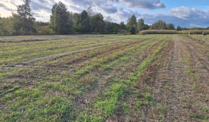 Działka budowlana Wylów