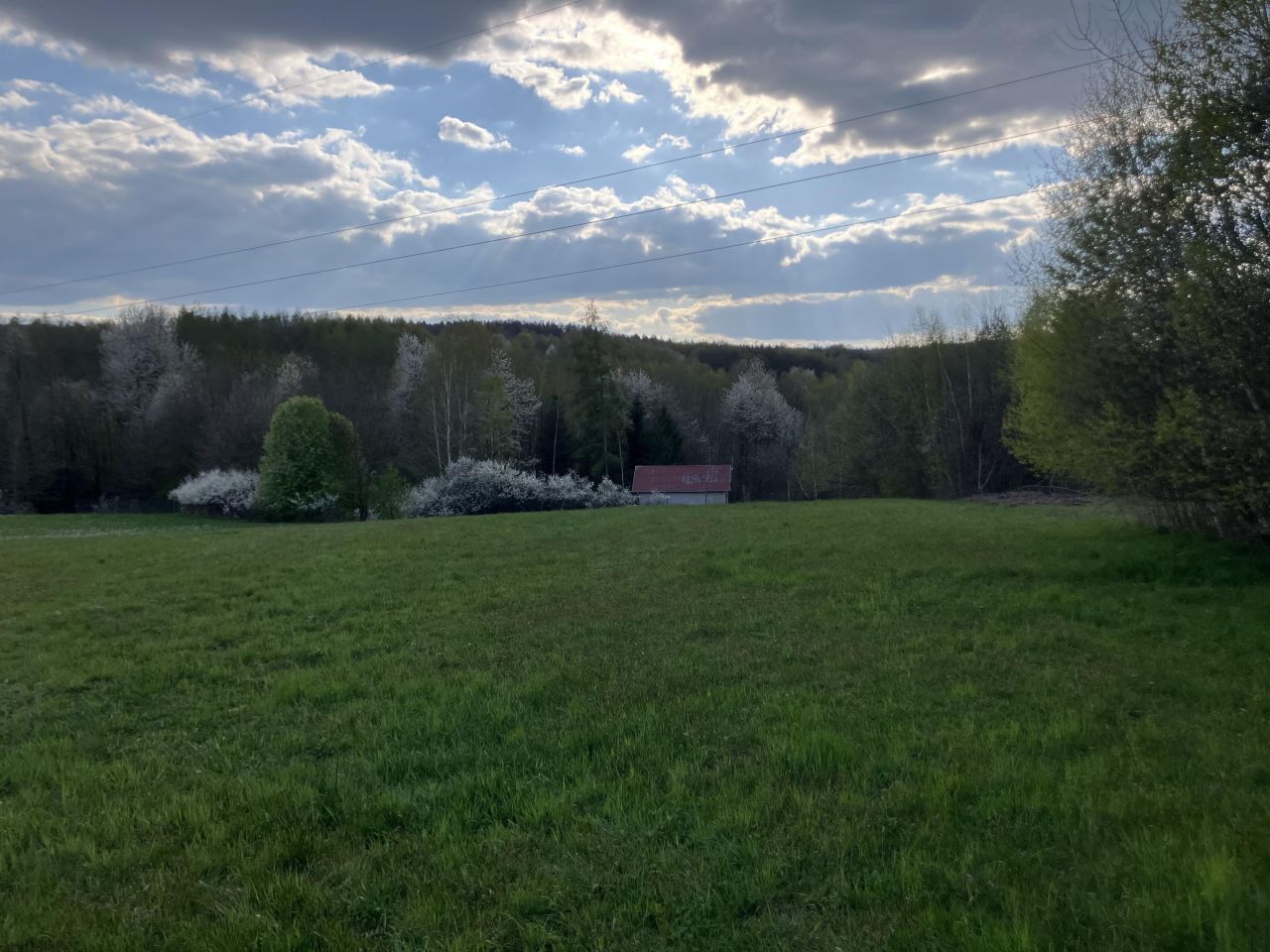 Działka rekreacyjna Brzozów Potok, ul. Spacerowa. Zdjęcie 4