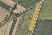 Działka rolna Trześń. Zdjęcie 2