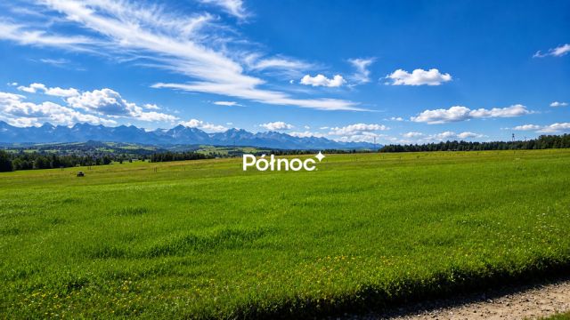 Działka rolna Ostrowsko. Zdjęcie 1