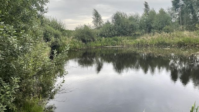 Działka rolno-budowlana Tuchlino, Tuchlino. Zdjęcie 1
