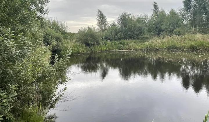 Działka rolno-budowlana Tuchlino, Tuchlino