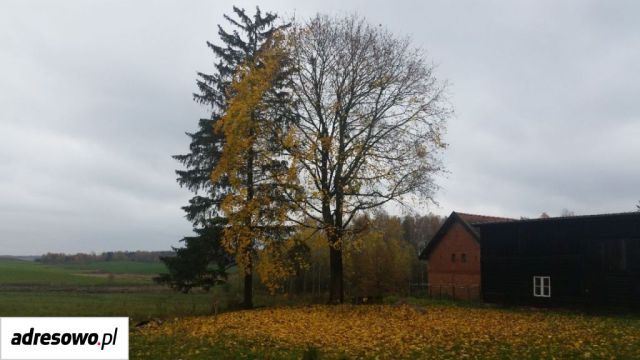 Mieszkanie 3-pokojowe Pajtuny. Zdjęcie 1