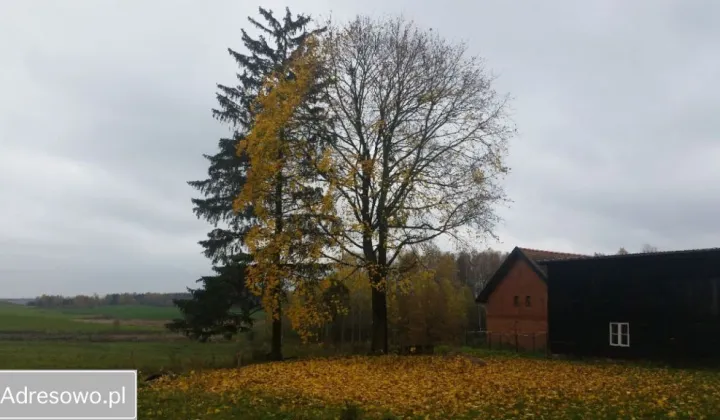Mieszkanie 3-pokojowe Pajtuny
