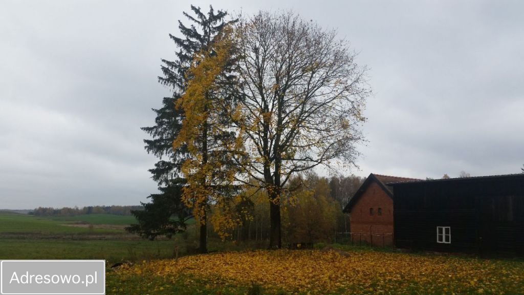 Mieszkanie 3-pokojowe Pajtuny. Zdjęcie 2