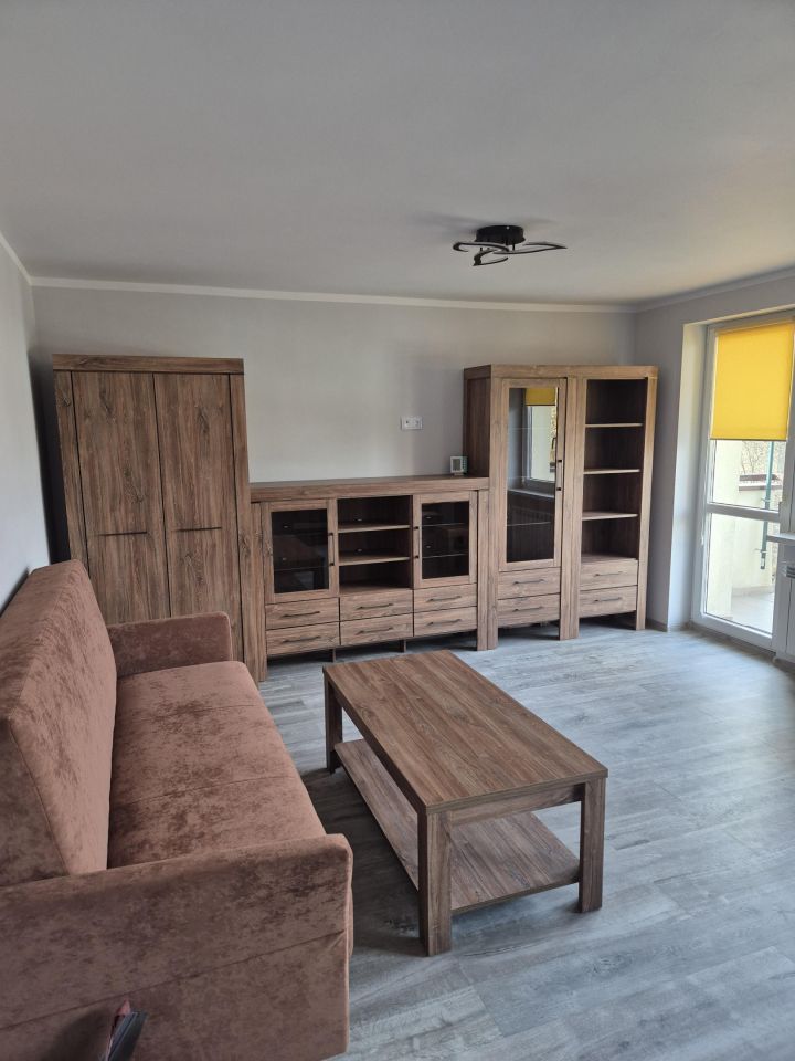 Mieszkanie 1-pokojowe Chorzów Centrum, ul. Cieszyńska. Zdjęcie 9