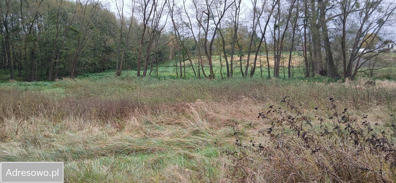 Działka rolno-budowlana Krzęcin. Zdjęcie 5