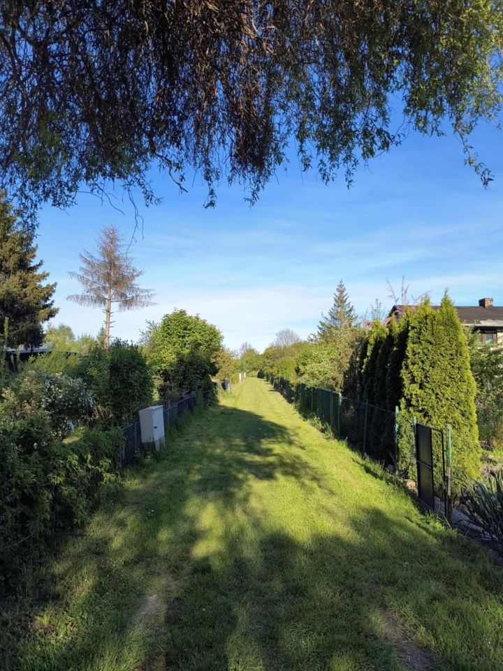 Działka rod Gdańsk Olszynka, ul. Olszyńska. Zdjęcie 9