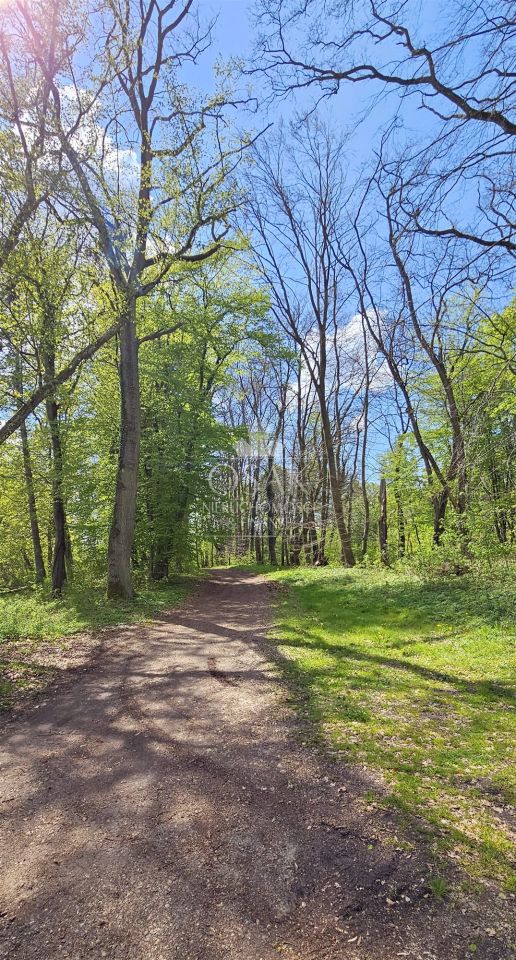 Działka Resko. Zdjęcie 7