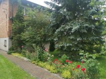 dom wolnostojący, 5 pokoi Kotuń. Zdjęcie 1