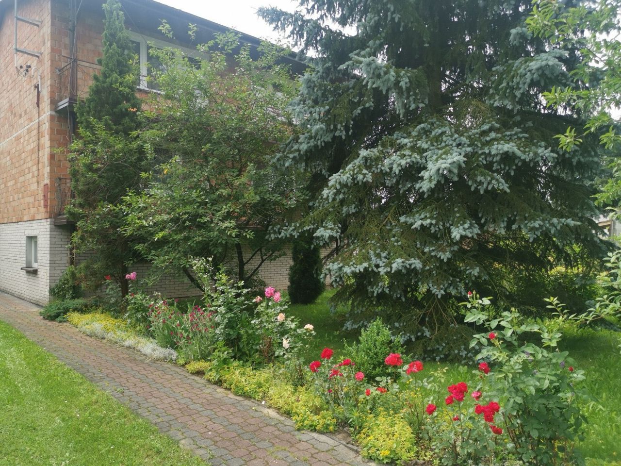 dom wolnostojący, 5 pokoi Kotuń. Zdjęcie 2