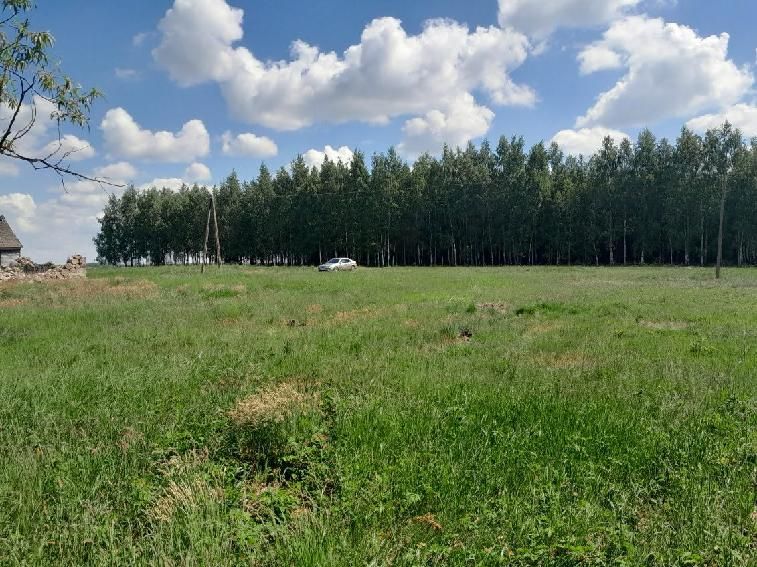 Działka rolno-budowlana Babiec-Więczanki. Zdjęcie 4