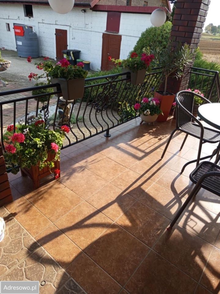 Działka rolna Milewo. Zdjęcie 8