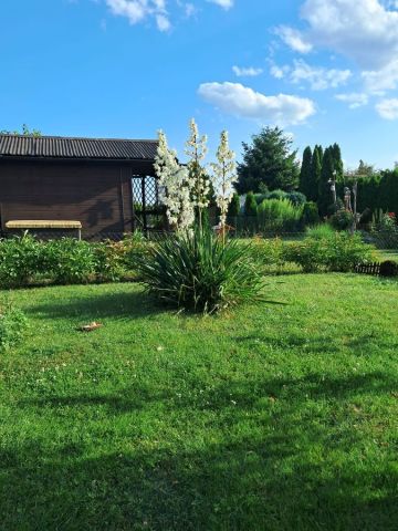 Działka rod Rydlewo. Zdjęcie 1