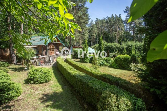 dom wolnostojący, 4 pokoje Borkowo. Zdjęcie 11