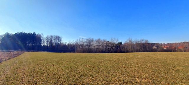 Działka budowlana Marcinkowo. Zdjęcie 4