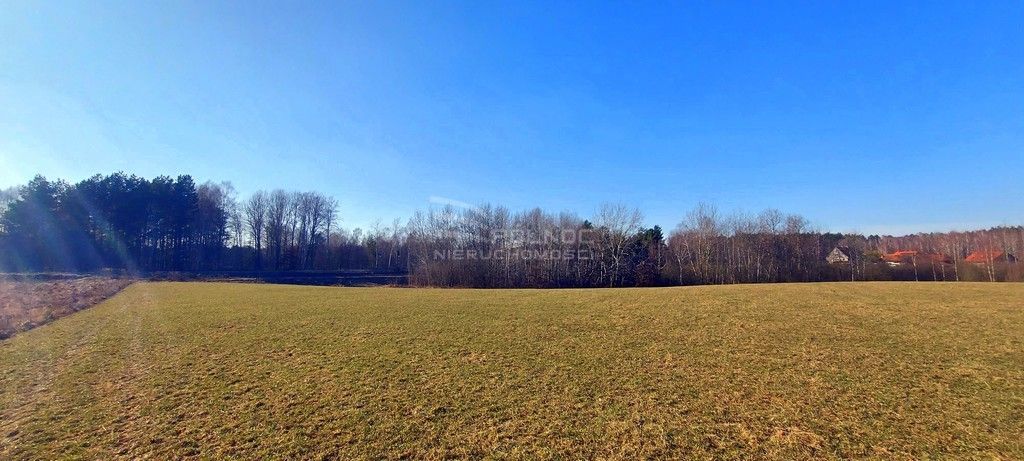 Działka budowlana Marcinkowo. Zdjęcie 4