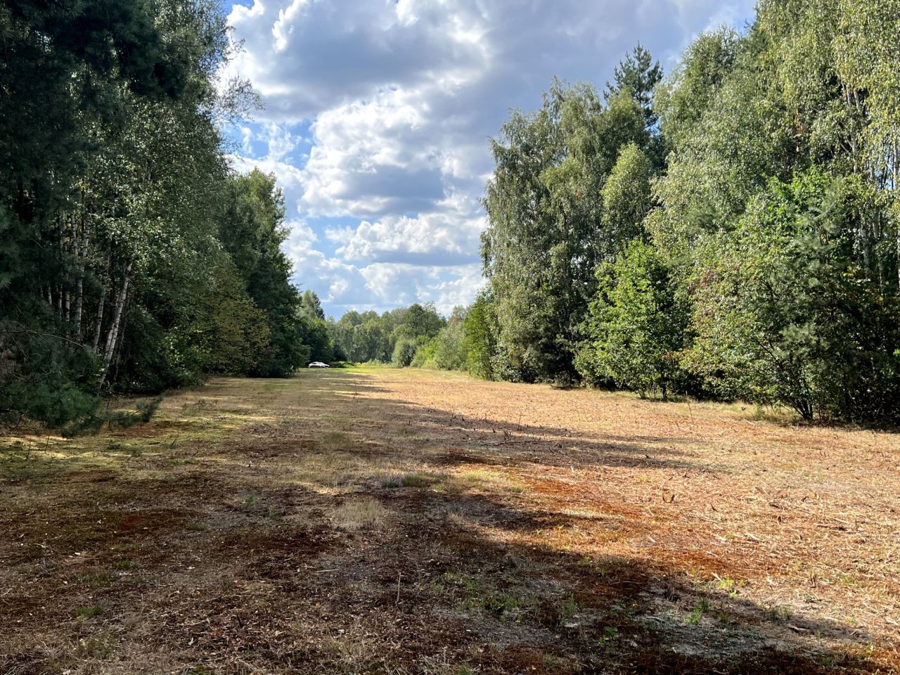 Działka rekreacyjna Mirowice, ul. Sarenki. Zdjęcie 8