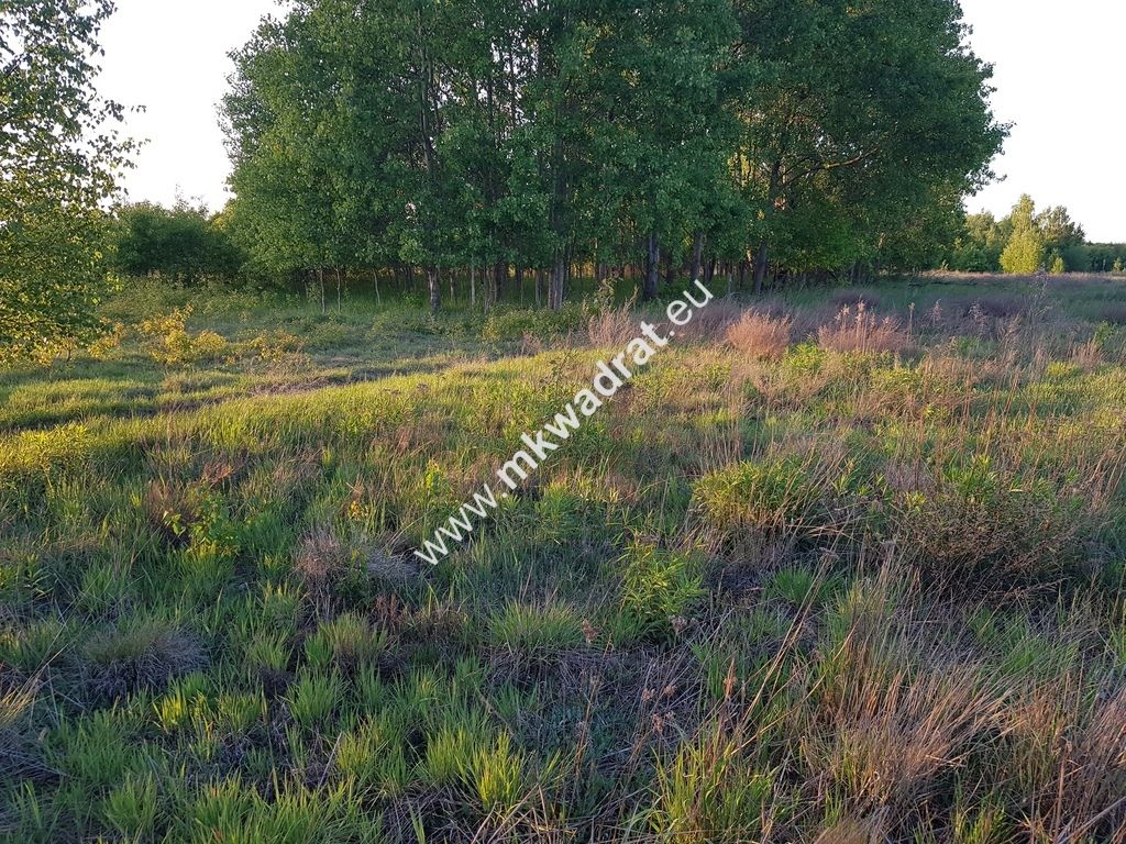 Działka budowlana Radziejowice, ul. Ossolińskich. Zdjęcie 3