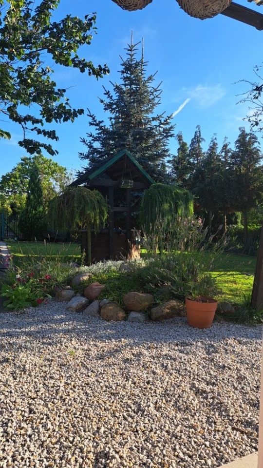 Działka rod Szamotuły. Zdjęcie 8