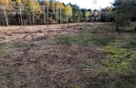Działka budowlana Ostrów Mazowiecka, ul. Bartosza Głowackiego. Zdjęcie 5